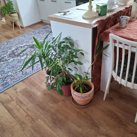 Δωμάτια σε οικογενειακή κατοικία Tiche Podkrovi 4 Km Od Kromerize