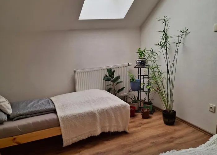 Tiché Podkroví 4 Km Od Kroměříže Quarto em Acomodações Particulares Skastice